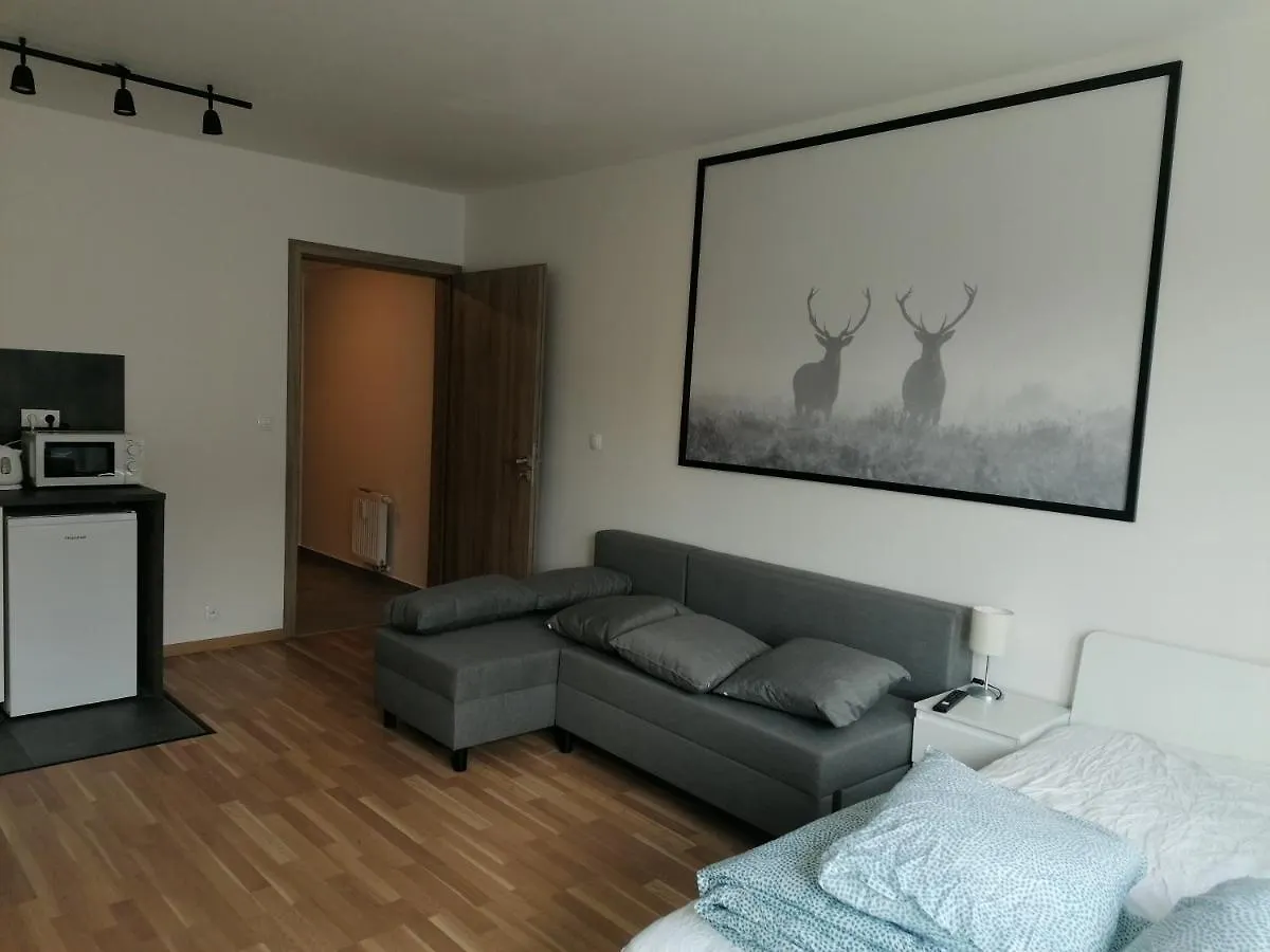 Brand New Studio Apartment #51 With Free Secure Parking In The Center Prága